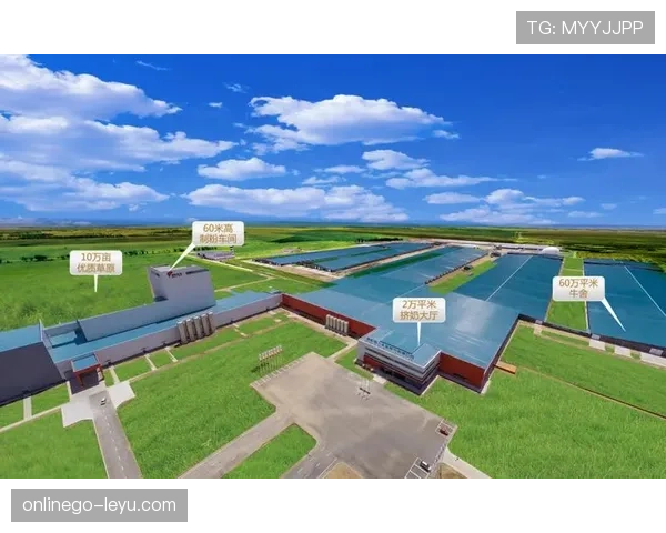 阿姆斯特丹推出绿色转型补助计划，加速可持续交通发展