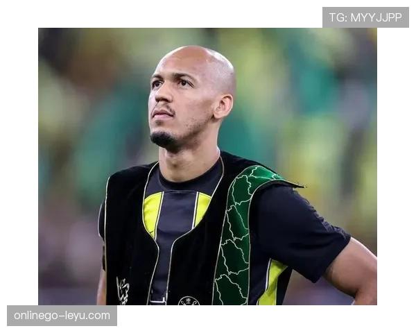 法比尼奥比赛阅读